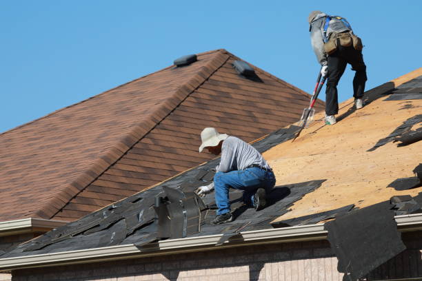 Best Roof Maintenance and Cleaning  in Dripping Springs, TX