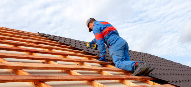 Best Roof Moss and Algae Removal  in Dripping Springs, TX